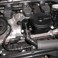 Ϊʲô��ô���˶�ϲ���µ���µϣ� ���˺�ڰɣ�