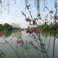 ������ڣ����ݷ羰���޺�