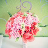 ���첻�������Ҹ������ӣ��ҵ��Ҹ��Ÿոտ�ʼ