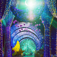 �������ǵĻ����ã����λ�