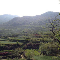 4.12����֮��