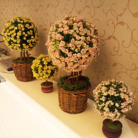 ����װ���ҵļң��滨�ٻ���PK