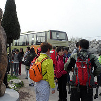 ���ڴ�ɫ�����ڻ���������