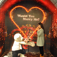 �����ź�����Jeju��