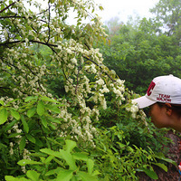 ����ѥ�ķ������