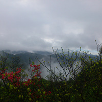 4�µ�����ţͷɽ��Ű¿��