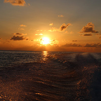 ��ɹ���С�������������֮��