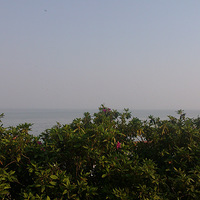 ����-̫���³Ǻ�������