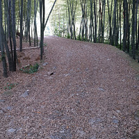 ��ζ����ϱ���Ȥζ���