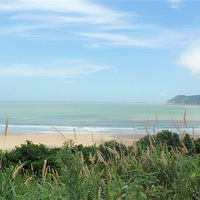 ��ɹ���С���������