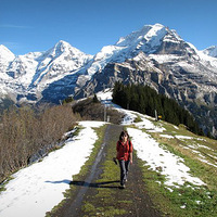 ��ɹ���С�׷��ܿˡ���³�ǿ� -ȥ��ʿ