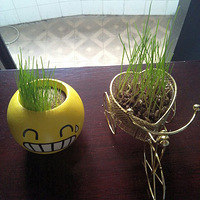 ��׺����ľ��Ұɣ�