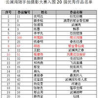 20ǿѡ
