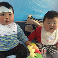 ���屧�������о�����
