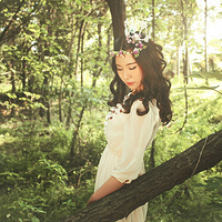 ������ɭ��ϵд��������