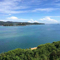 Honeymoon-����֮��