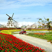 ʱ����塰���ƻ���ũ����