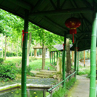 ͩ®����֮�С���ʮһ·