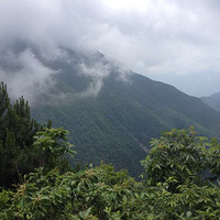 ����֮�����书ɽ