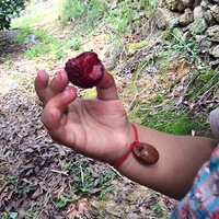 ����ͷ����÷������~