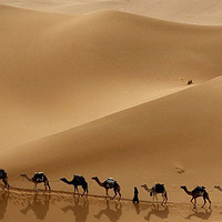 ��Ҵ���ػͣ������أ��ຣ���� ��������Ĺ�˿��֮·��~