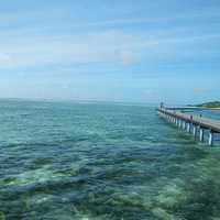 �������Ρ�+��γ4�������