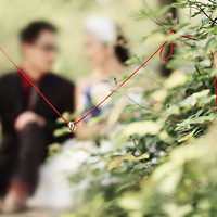 �ҵĻ�ɴ�գ�������������������