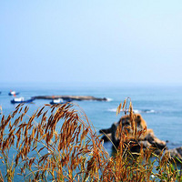 �����еĴ󺣣���¼һ����������ɽ֮�С���ʮһ·����