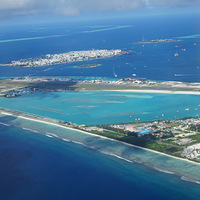 �������Ρ���������������