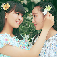 ���£���ɹɹ�����ա�