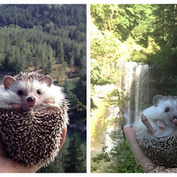 �߱鱱�����������������Ĵ�������40���˿