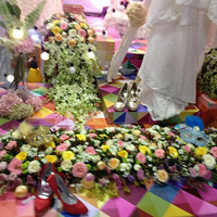 ���¿������꿹�ճɹ��ˣ���������Ҳ�����������л��ʱ��ôô��