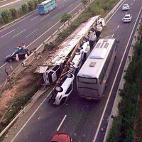 ���ҳ��෭��11������ɢ��һ��