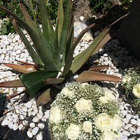 �����ϣ��������