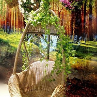 �ٱ���̨���������� ��������ͼƬ����