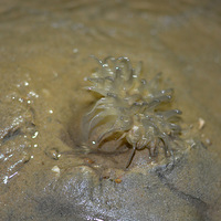 ����̫���������䵽�ĵط��������ա�