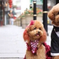 �ҼҴ�� ��С����