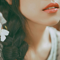 д��Ƭ�����ӡ�