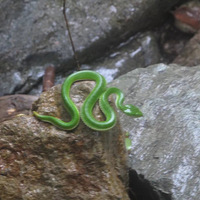 ������Ͽ����Ϫ�����㱨