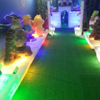 ����Ͷ���Ľ��