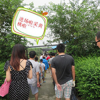 ���Ʋɻ����Լ���