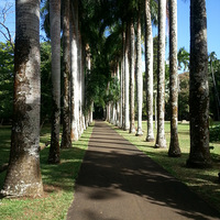 �˼�����԰--ë����˹֮��