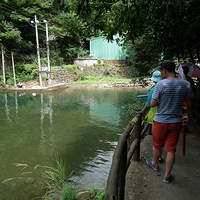 ����Ͽ����Ư���ع� 