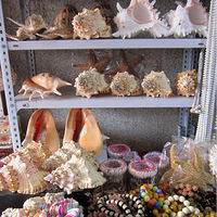 ������Ҷ��ڷ����� �μ�����Ҳ�����ġ�����7����Ѯȥ�˴�l��