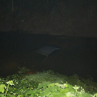 ������Ӿ�ˡ�����