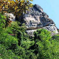 �����һ����