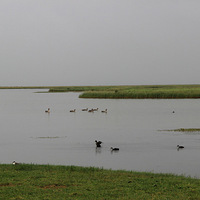 8�°�������һȦ����ɽ�����걦��կ���������۵ף��£�