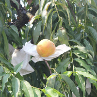 �����Լ��� �ɻ���+ũ���� ���ǻ�����~