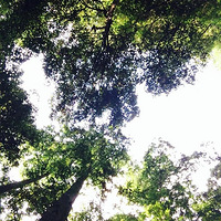 �������һ��~~