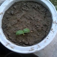 ����������౭��Ҵ����������������ĳ���